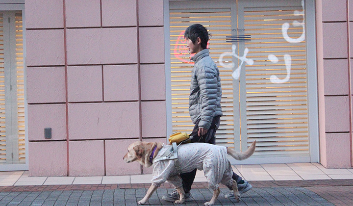 外を歩くユーザー矢野さんと盲導犬エミー