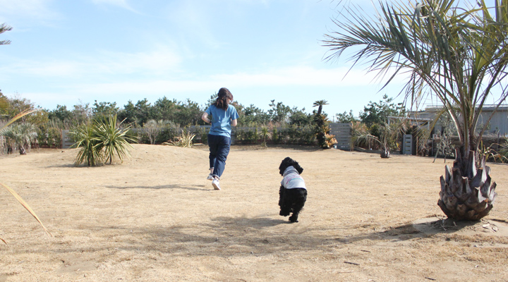 人と犬が庭を走る写真