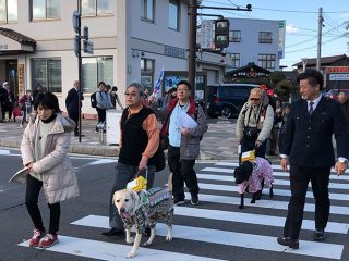 横断歩道を歩く盲導犬ユーザーと一般参加者