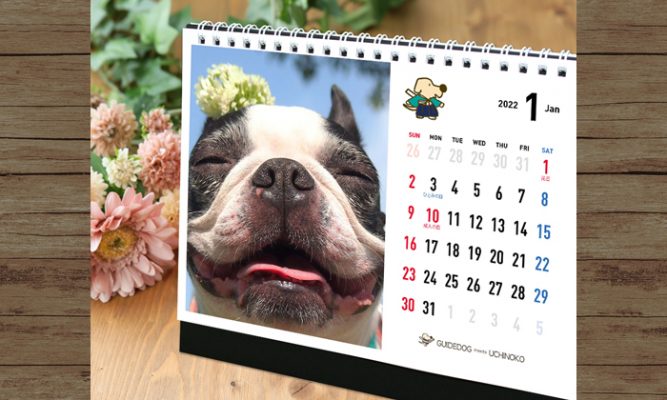 卓上カレンダーの1月の画像。左に写真、右に日付が入っている。