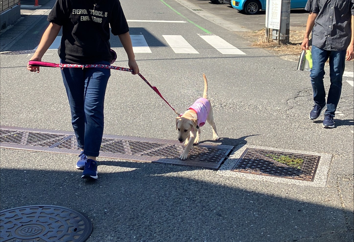 イエローラブと、パピーウォーカーの家族が歩道を歩いている様子。近くで職員が見守っている。網が歌舞せられた排水溝を慎重に乗り越えている。