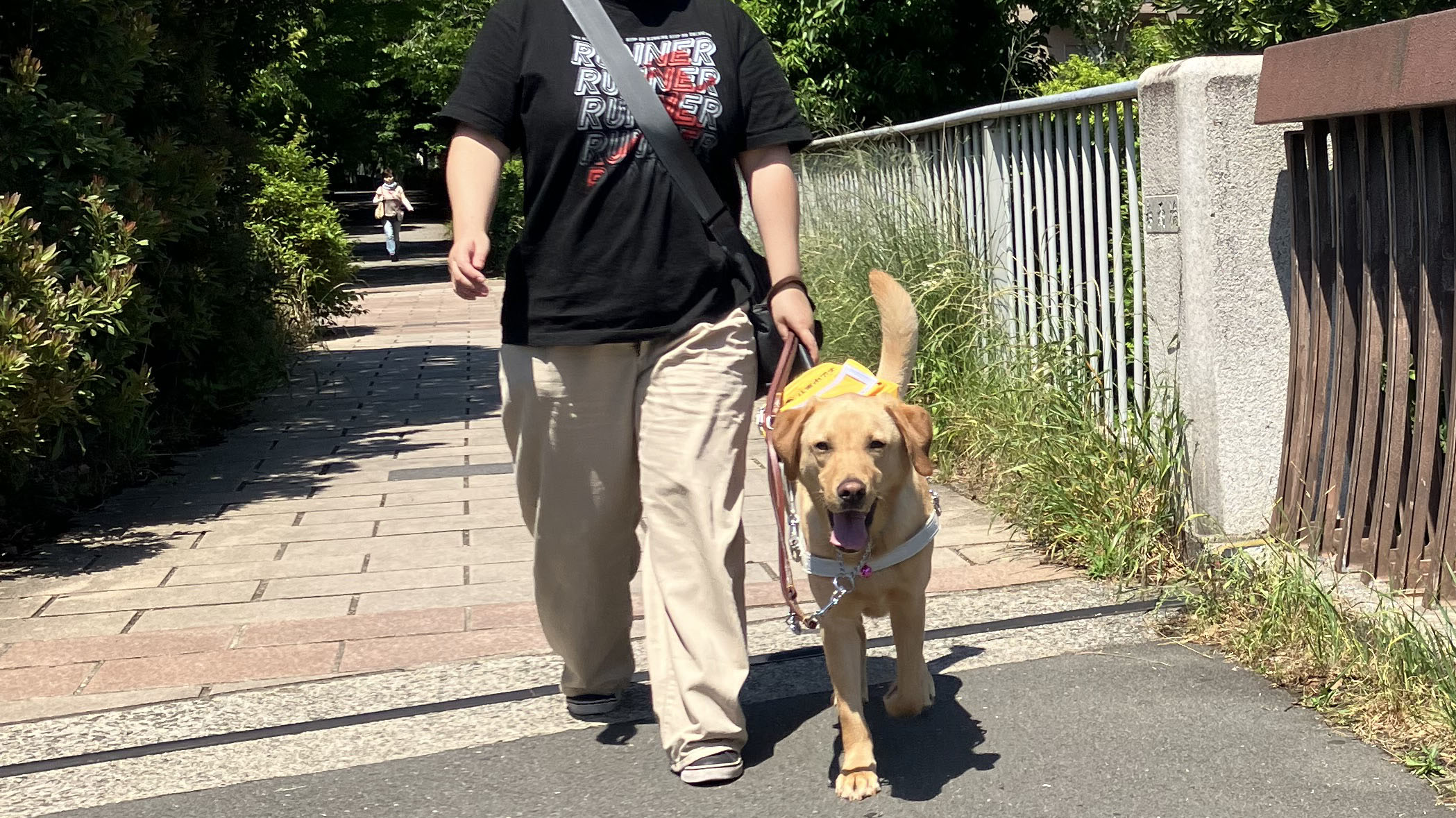 盲導犬ユーザーと盲導犬が街を歩いている様子。盲導犬は少し前を歩き、笑顔で尻尾を上げて歩いている。カメラの方に向かって歩いている。