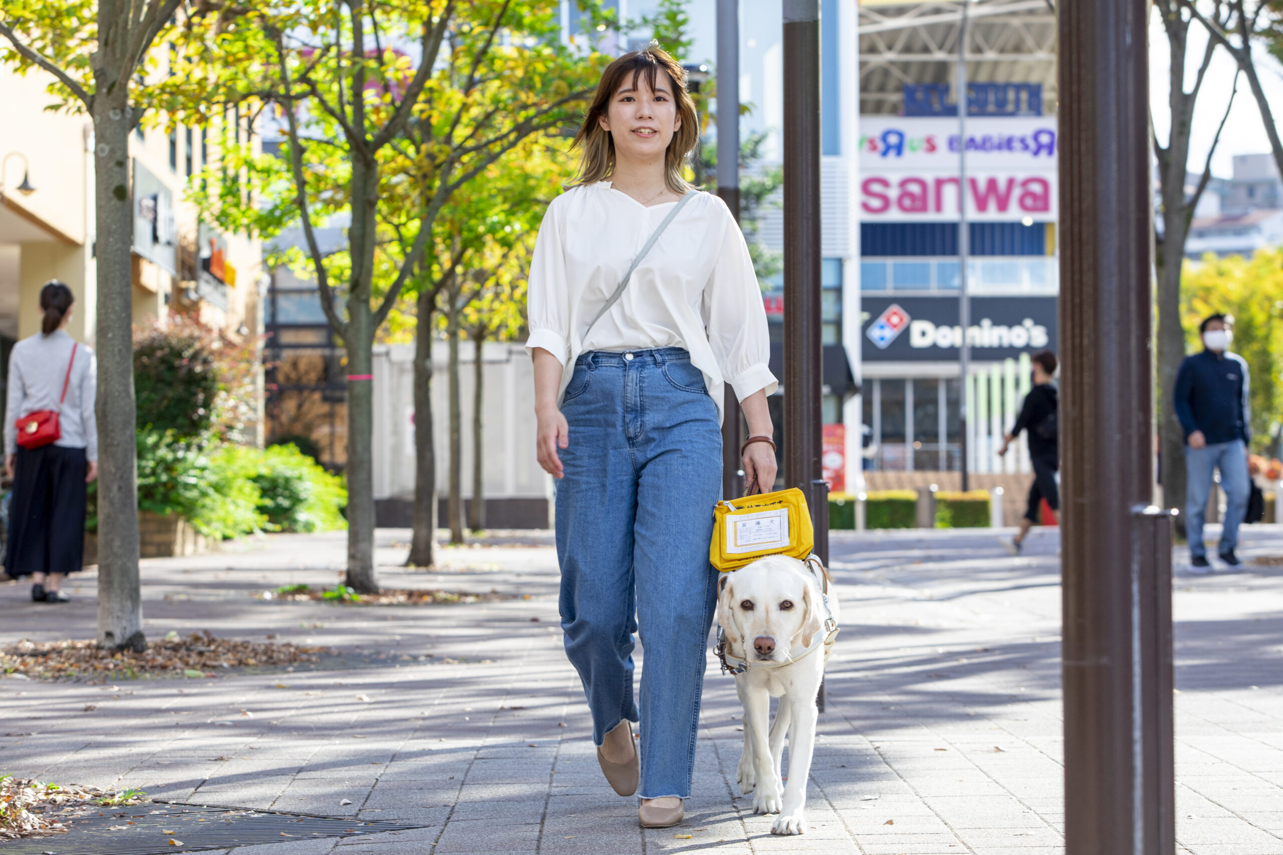 盲導犬と人がこちらに向かって歩いている。人はハーネスを持ち正面を向いている。盲導犬は人の左側にピッタリとつき、落ち着いた様子で足を進めている。