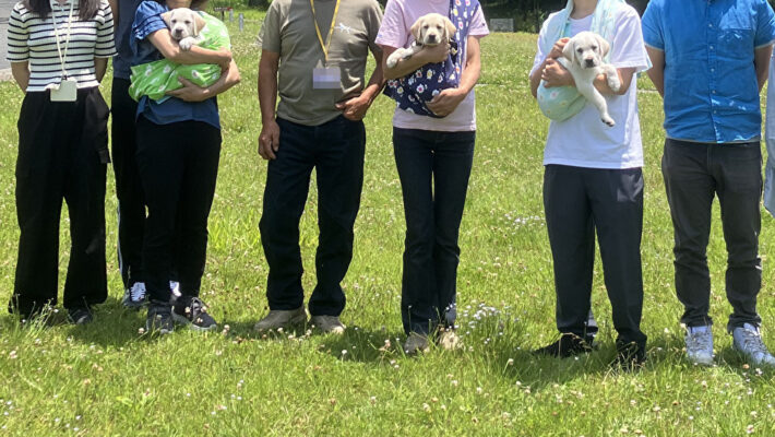 パピーウォーカーの家庭に託される委託式の様子。各家庭2ずつ、計3家族が並んでいる。3頭の子犬は皆、花柄のスリングに入れられてだっこされている。皆カメラ目線。