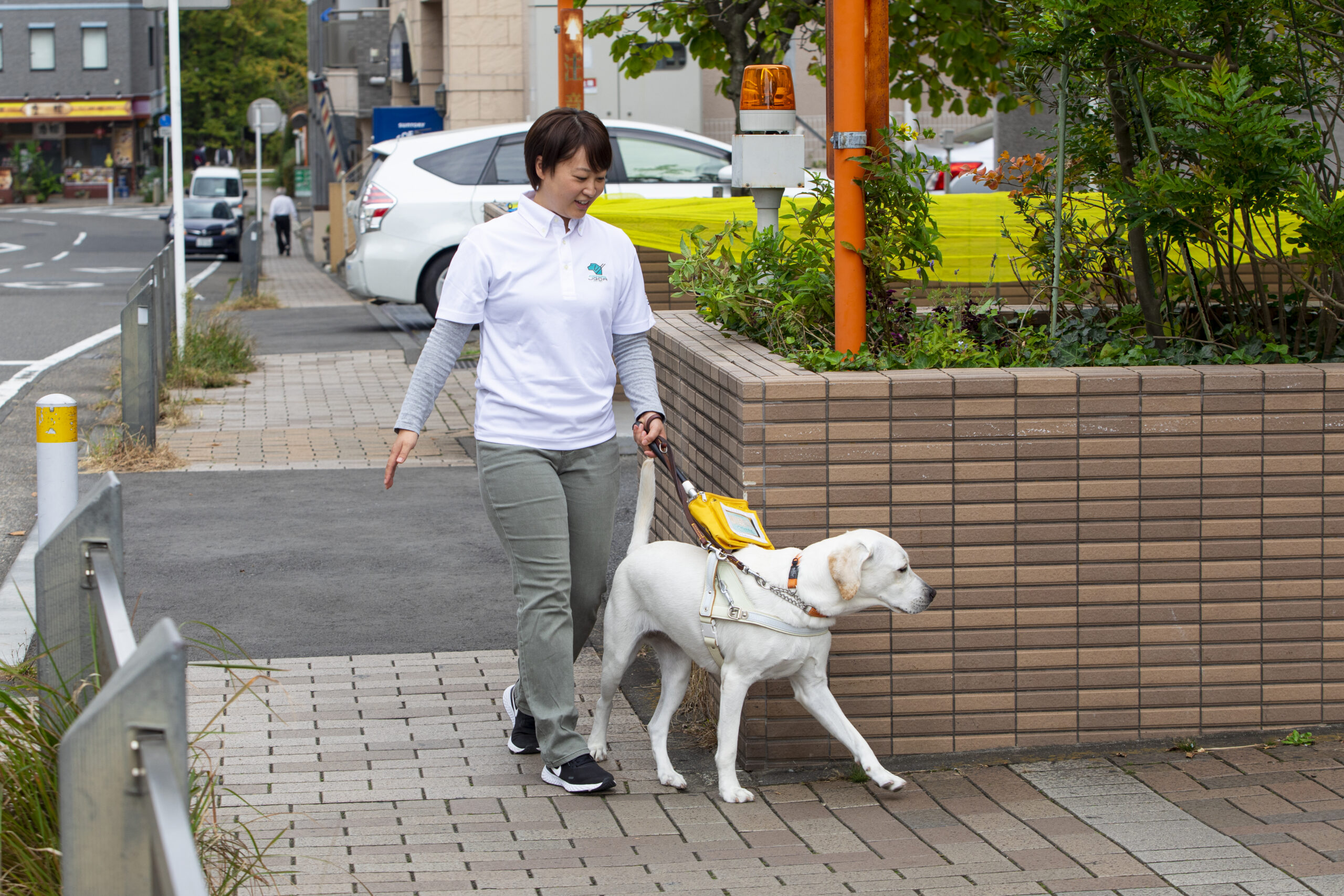 訓練犬と訓練士が街を歩いている。角を教えている様子。曲がり角で、盲導犬が片方の前足を出しつつ立ち止まっている。訓練士は笑顔で声を掛けていることが伺える。