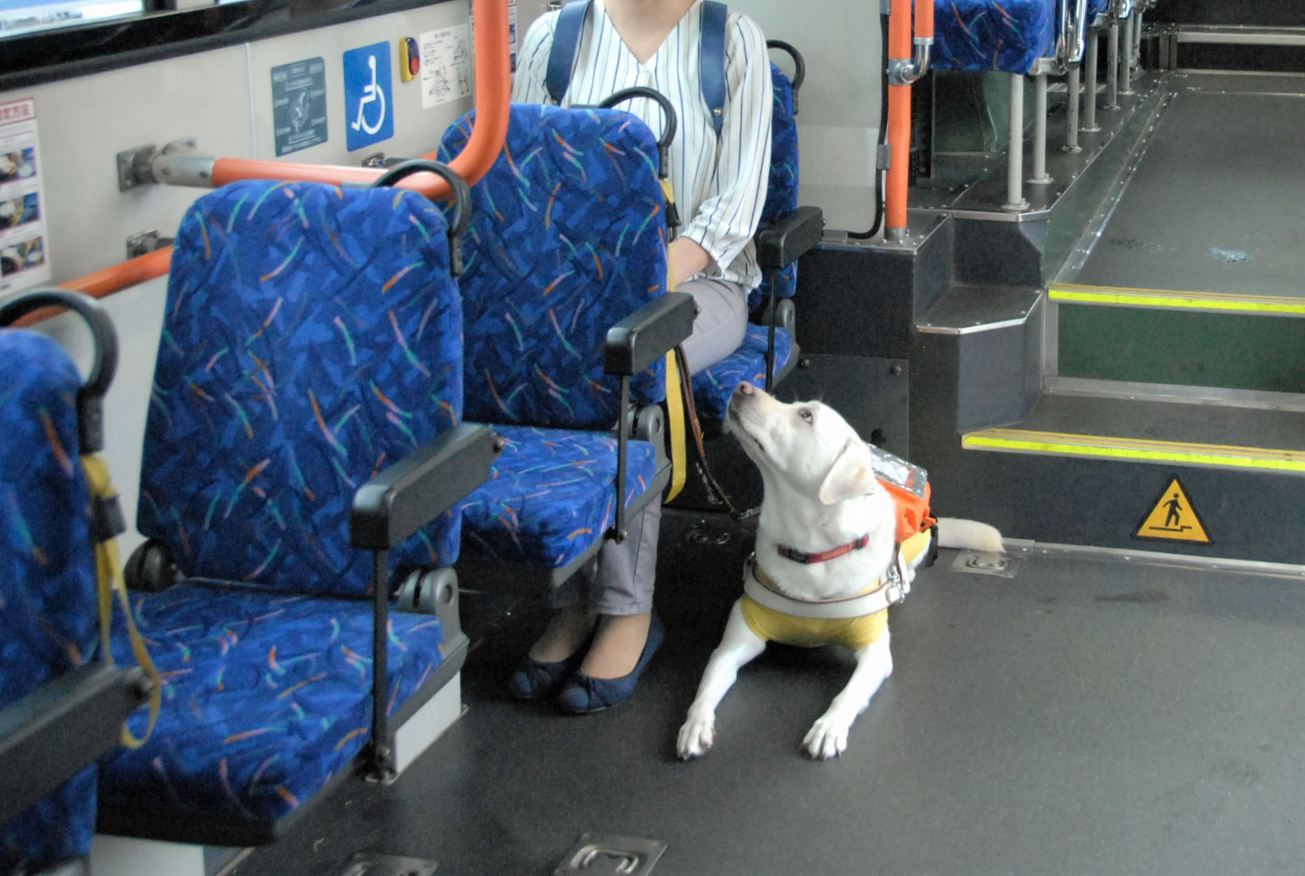 ユーザーと盲導犬がバスに乗っている。一人掛けの席に座り、隣に盲導犬が伏せている。盲導犬はユーザーの顔を見上げている。