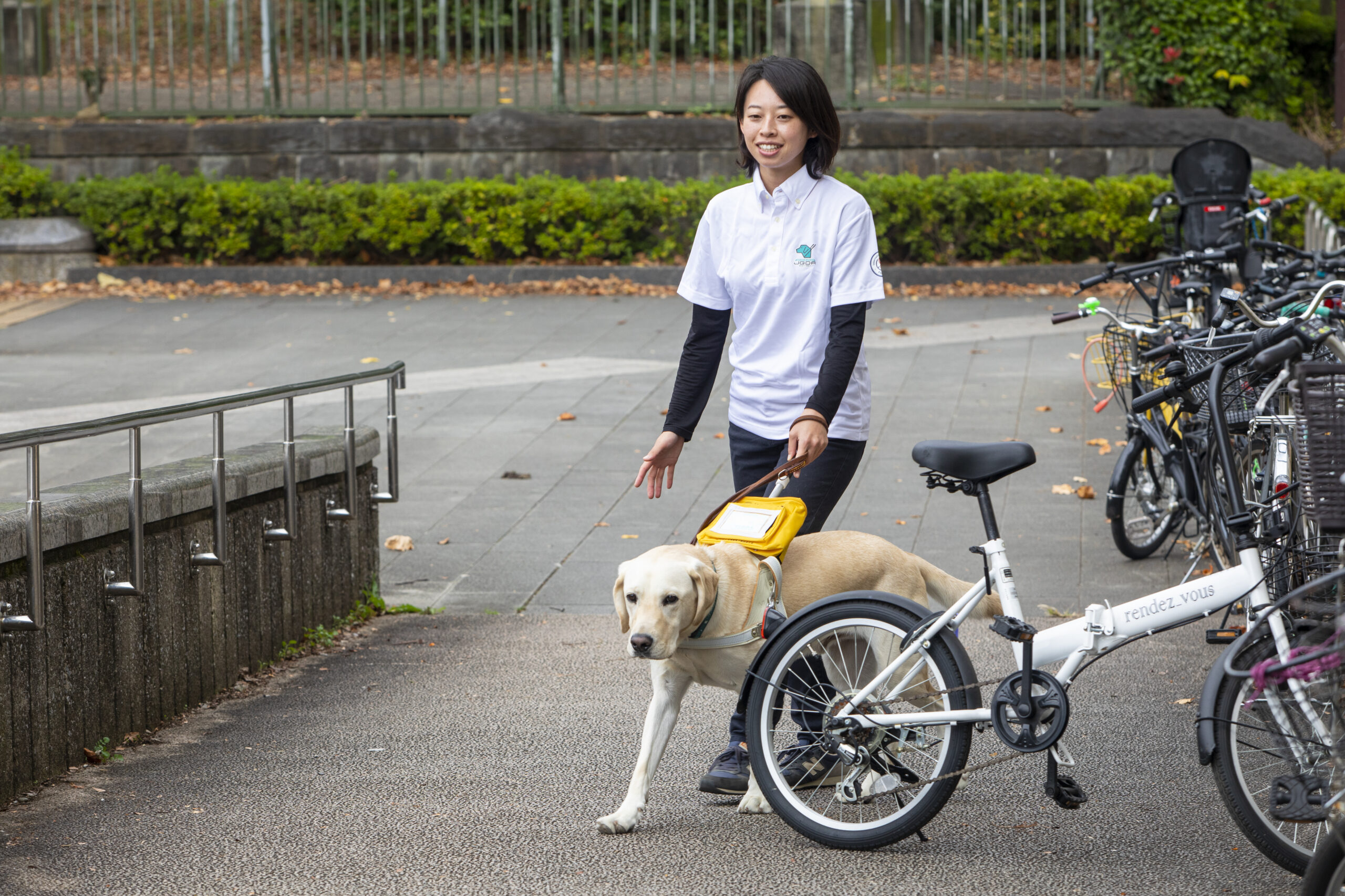 訓練犬と訓練士が街を歩く様子。訓練犬が少し前を歩き、障害物である自転車を迂回している様子がわかる。