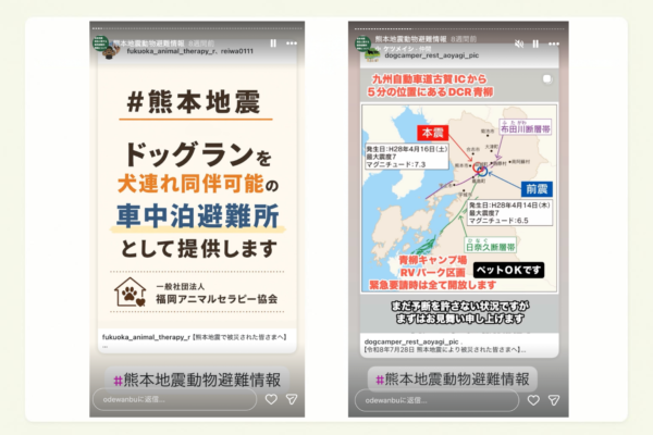 Instagramのストーリーズシェア画像。ドッグランを、社長ハク避難所として提供する投稿や、キャンプ場の避難所開放の投稿をシェアしている。